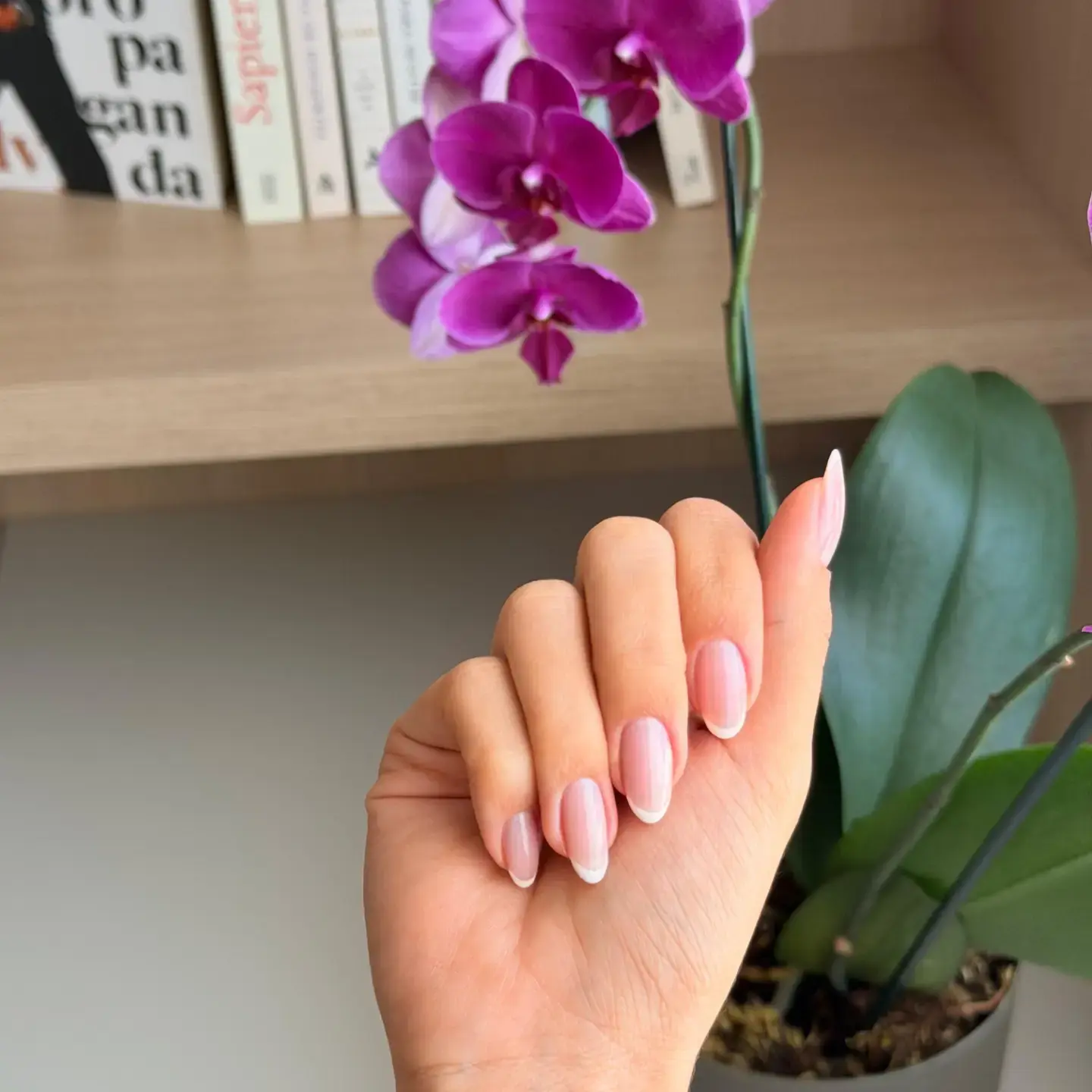 esmaltação em gel